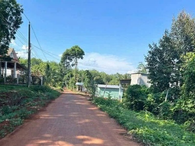 Chính chủ cần bán đất 3 sào 2 trồng sầu riêng   lộc an, lộc ninh, bình phước 1