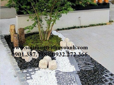 Thùy Oanh chuyên cung cấp dòng sỏi đen bóng 16