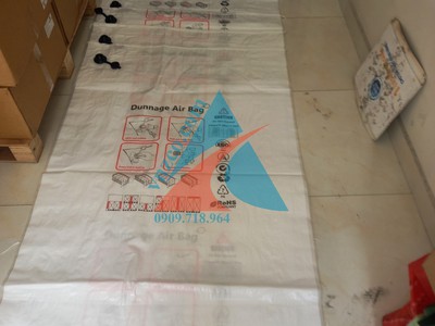 Dunnage Air bag 100x180cm, Túi khí chèn hàng PP 100x180cm, túi khí chèn hàng 2 lớp 5
