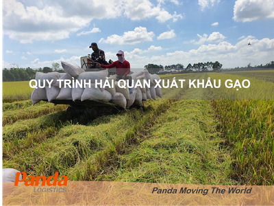 Quy Trình Hải Quan Xuất Khẩu Gạo 0