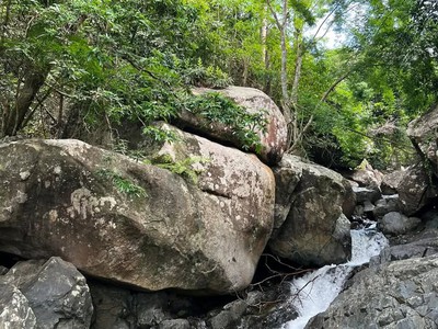 Chính chủ cần bán mảnh đất vườn View Hồ Trị An tại Xã La Ngà, Huyện Định Quán, Đồng Nai 4