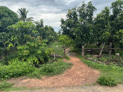 Chính chủ cần bán mảnh đất vườn View Hồ Trị An tại Xã La Ngà, Huyện Định Quán, Đồng Nai 7