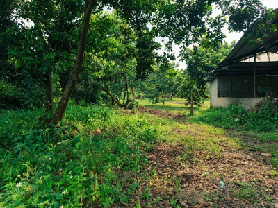 Chính chủ có lô đất vườn cần bán tại Quang Trung - Thống Nhất, Đồng Nai. Diện tích 1000m2. 1