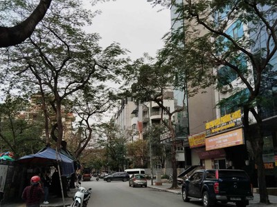 Tin thật 100  bán tòa bulding 132m2 x 9t ở trần thái tông - dt 3 tỷ/năm - đẳng cấp số 1 cầu giấy 2
