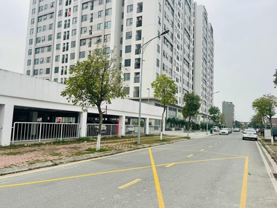 Bán 2 lô đất mặt đường KDC Trần Hưng Đạo, TP Hải Dương, 101.25m2, mt 5m, đường 17.5m 0