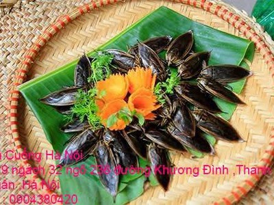 Bán đặc sản Cà Cuống nhiều tinh dầu thơm , lọ tinh dầu Cà Cuống , nước mắm Cà Cuống ở Hà Nội 1