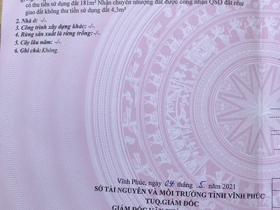 Bán lô siêu đẹp tại mặt đường Hùng Vương, Đồng Tâm, Vĩnh Yên. Vĩnh Phúc. DT 185m2 giá 14 tỷ 1