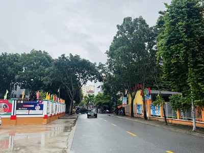 Mặt phố hàng xóm vinhomes riverside 190m2, mt 9m. vỉa hè rộng, kinh doanh ...