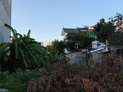 Chính chủ bán lô đất đường nguyễn đồn - mặt tiền đường lớn 0