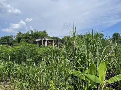 Chính chủ cần bán đất gần 1,7ha có 400m  thổ cư   nhà cấp 4 sẵn   mặt tiền khủng 91m- lộc ninh - 1