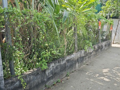 Bán đất thổ cư đường lê văn lương, xã long hậu, huyện cần giuộc, long an  cũ 3