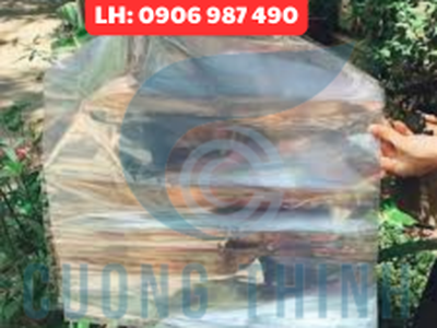 Chuyên Màng co giỏ quà mùa tết 3