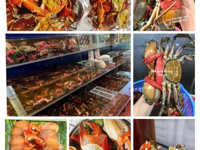 Cần bán cua biển vip ngon tuyển chọn giá tốt 0