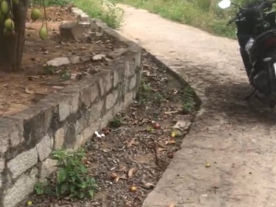 Bán lô đất full thổ cư thôn bình trị, xã ninh bình, thị xã ninh hòa, khánh hòa 2