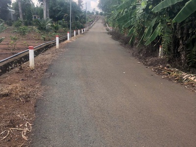 Chủ bán 1000mv mt nhựa láng lớn phủ hồng 300mv 0