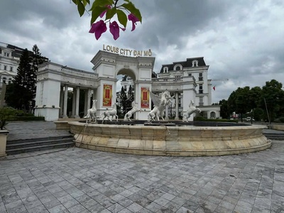  bán liền kề louis city đại mỗ   trung tâm khu đô thị - 25 tỷ. 3