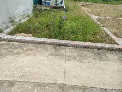 Bán đất tổ 9  ấp tre , xã quang minh, hn - nhõ thông bàn cờ, ôtô vào đất, 100 thổ cư, giá đầu tư 1