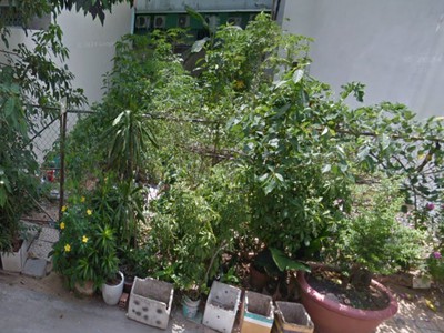 Đất vuông shr đ.8m 126m2   bình lợi bình thạnh s 1