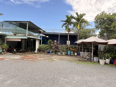 Bán nhà mặt tiền thới tam thôn 6, hóc môn. dt: 1250m2, 3 pn, shr.29 tỷ 2