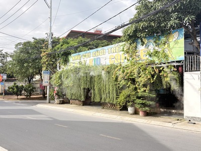 Bán nhà mặt tiền thới tam thôn 6, hóc môn. dt: 1250m2, 3 pn, shr.29 tỷ 0