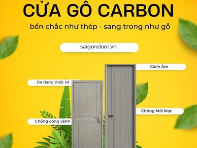 Cửa gỗ Carbon   Giải pháp cửa hiện đại, bền đẹp cho mọi công trình 3