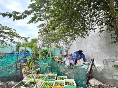 Đất đẹp trường thọ 76m , đường 8m thông, gần ga metro, giá tốt 7.1 tỷ sổ riêng vuông, xây nhà phố 1