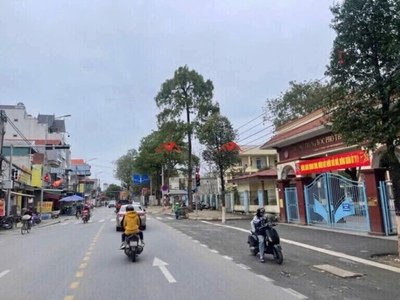 Siêu phẩm cần bán lô đất 133,5m tại đại yên-chương mỹ-hà nội 4