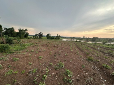 Chính chủ cần bán gấp đất tại -  lộc quang -  đồng nai 0