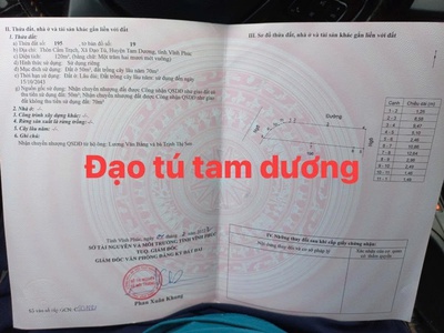 Bán đất mặt đường 310 Tam Dương, Vĩnh Phúc 3