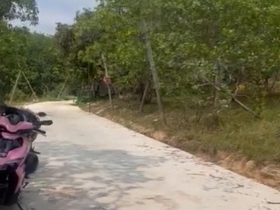 Chính chủ cần bán đất giá rẻ   chỉ 650 triệu/sào-  lộc ninh - bình phước 0