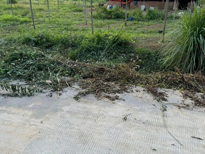 Chính chủ cần bán đất đẹp - ấp 5, lộc điền, lộc ninh, bình phước 0