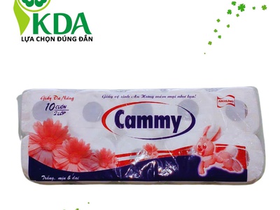Khăn giấy ,vệ sinh nhà hàng khách sạn bến tre đbscl 2