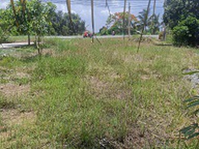 Cơ hội đầu tư sinh lời   đất mặt tiền quốc lộ 62, cây số 15 0