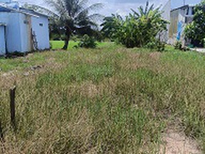 Cơ hội đầu tư sinh lời   đất mặt tiền quốc lộ 62, cây số 15 1