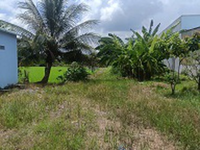 Cơ hội đầu tư sinh lời   đất mặt tiền quốc lộ 62, cây số 15 2