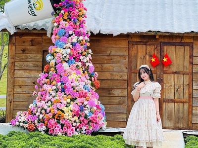 Bán đất sun valley bảo lộc full thổ cư view đẹp 0