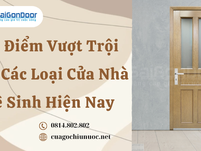 Ưu Điểm Vượt Trội Của Các Loại Cửa Nhà Vệ Sinh Hiện Nay 0