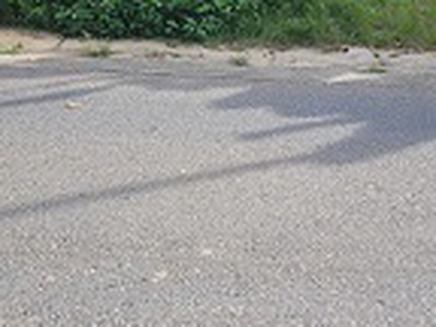 Bán 2 lô đất trục đường chính vào công an xã đồng hỷ cách quốc lộ 1b 300m đường rộng 10m 0