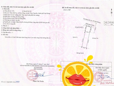 Chuyển nhượng căn nhà cấp 4 toạ lạc tại mặt đường 203 Mỹ Cụ - Hoa Động - Thuỷ Nguyên 0