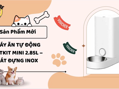 Máy ăn tự động Petkit MINI 2.85L bát inox   MukuPet 0