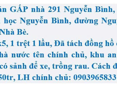 Bán nhà đường Nguyễn Bình, Phú Xuân, Nhà Bè 0