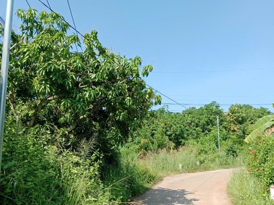 Chính chủ cần bán đất nghỉ dưỡng view hồ trị an cực đẹp - thoáng mát tại la ngà   định quán   đồng 1