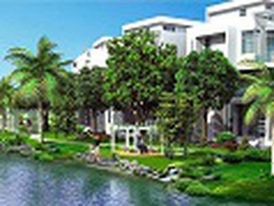 Bán lô đất ven sông view cực đẹp, mùa hè gió mát trăng thanh, tại phường hòa nghĩa, dương kinh, hải 0
