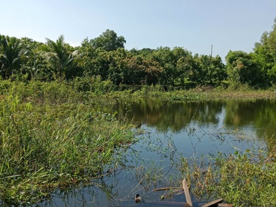 Chính chủ cần bán đất nghỉ dưỡng view hồ trị an cực đẹp - thoáng mát tại la ngà   định quán   đồng 2