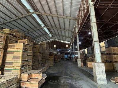 Nhà xưởng khủng  21x75  mặt tiền hẻm 1/ lê thị riêng, thới an, q12 giá 45 tỷ 1