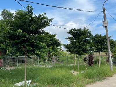 Còn vài lô đẹp giá f0 tại đình ngọ   an phong , an dương, hải phòng 4