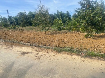 Em có đất thổ cư, kế bên quốc lộ 55 ở Bảo Lộc Có sẵn vườn sầu thái và bơ 0