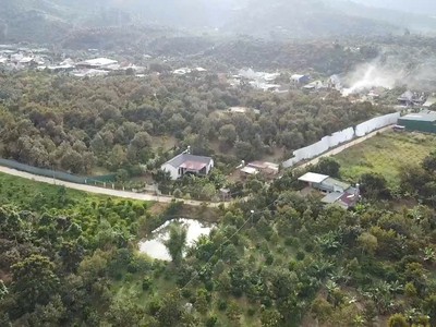 Đất đẹp bảo lâm 3-lâm đồng thổ cư 100 xây ở liền đường bêtông cách quốc lộ 55 chỉ 200m giá chỉ 4