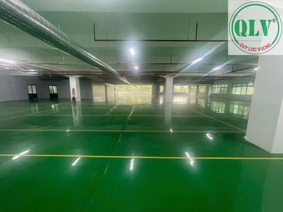Cho thuê nhà xưởng khu công nghiệp Việt Hương 1 diện tích 12.000m2 Thuận An, Bình Dương 1