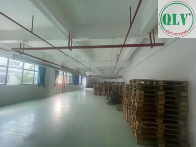 Cho thuê nhà xưởng khu công nghiệp Việt Hương 1 diện tích 12.000m2 Thuận An, Bình Dương 2